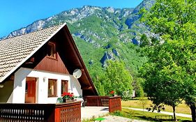 Bohinj Star Apartments